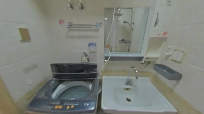 Donggang Swan Bay - View 6