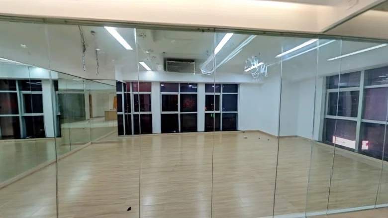 Oriental Hibiscus - View 3