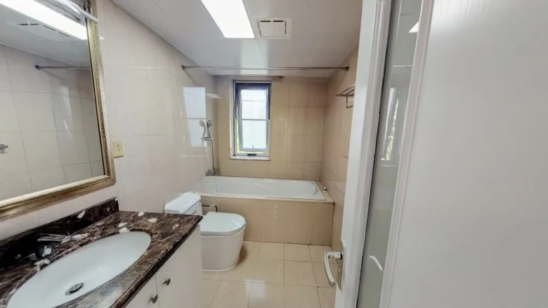 View Lake International - View 8