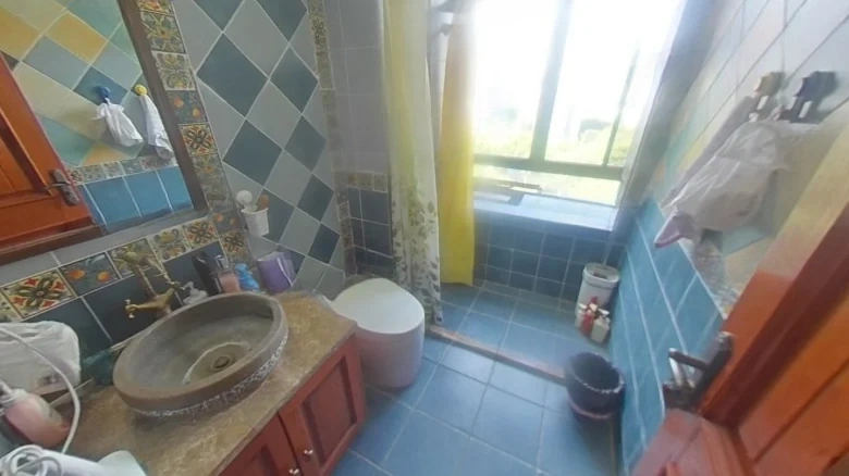 China Ocean Sena Lishè West Garden - View 6