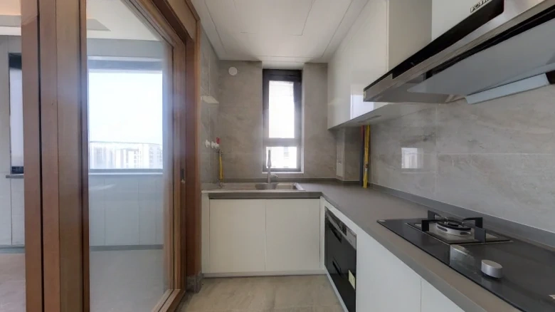 Poly Development Sky Confluence - View 6