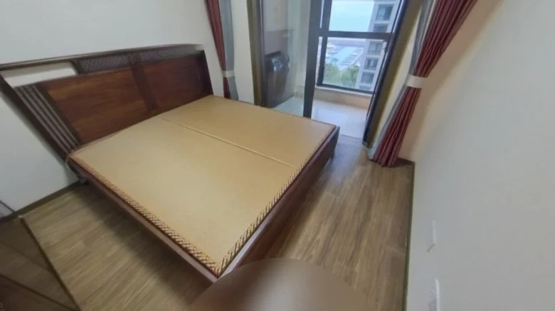 Dongfang Yingdu Starlang - View 3