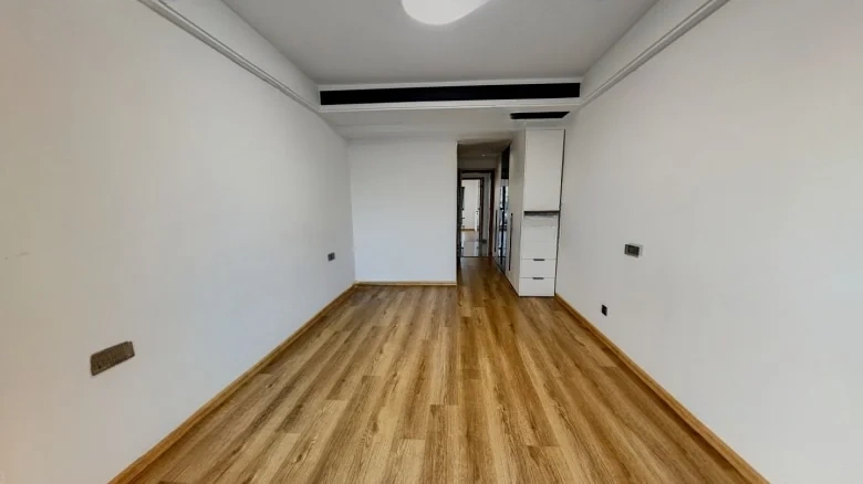 Dingfeng Lujiang 1号 - View 2