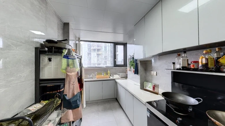 Fuwan International - View 9