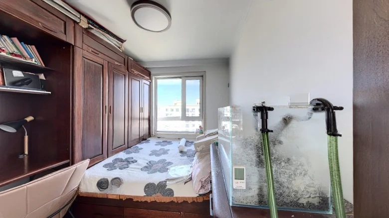 New Lake International - View 4