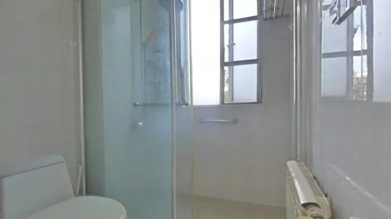 Heavenly Peace and Prosperity Garden - View 25