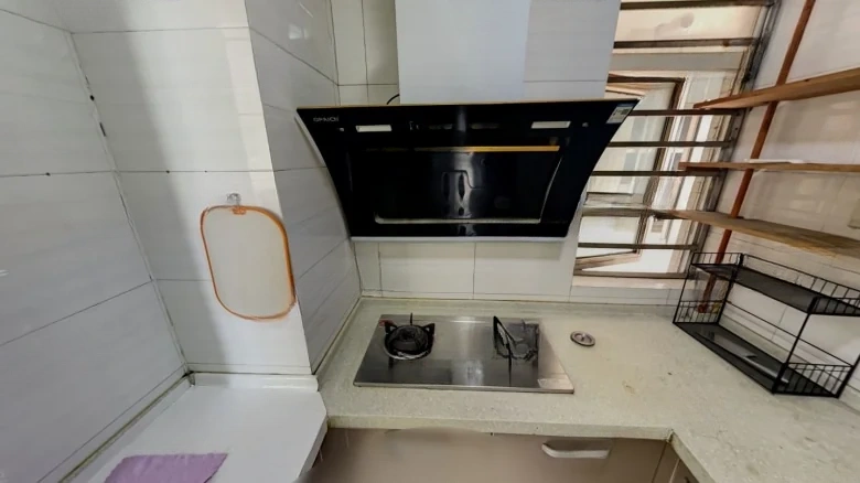 Shuangfa Jinyinghui - View 5