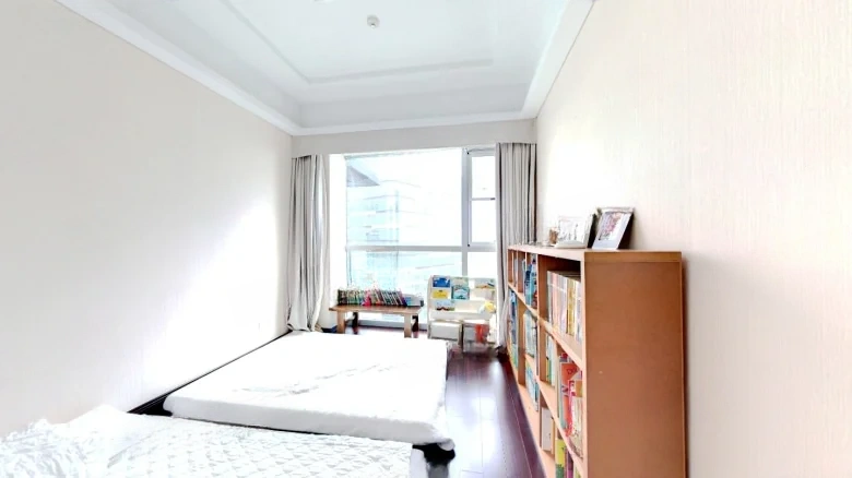 Chongqing Palmyra Spring International Center - View 3