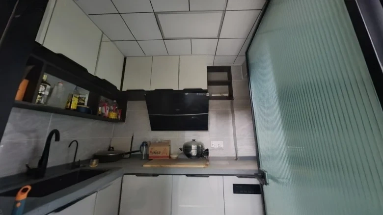 Ode to Joyfulness - View 7