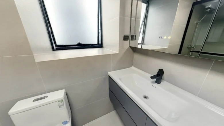 Dingfeng Lujiang 1号 - View 9