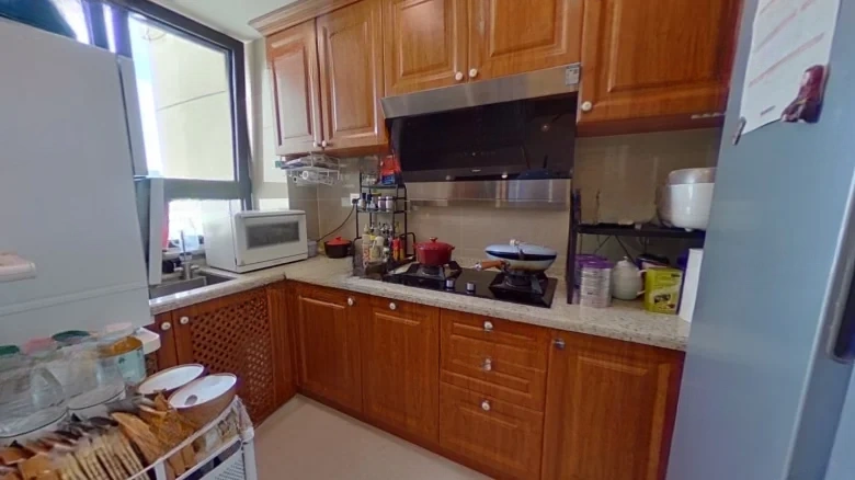 Oak Forest County - View 5