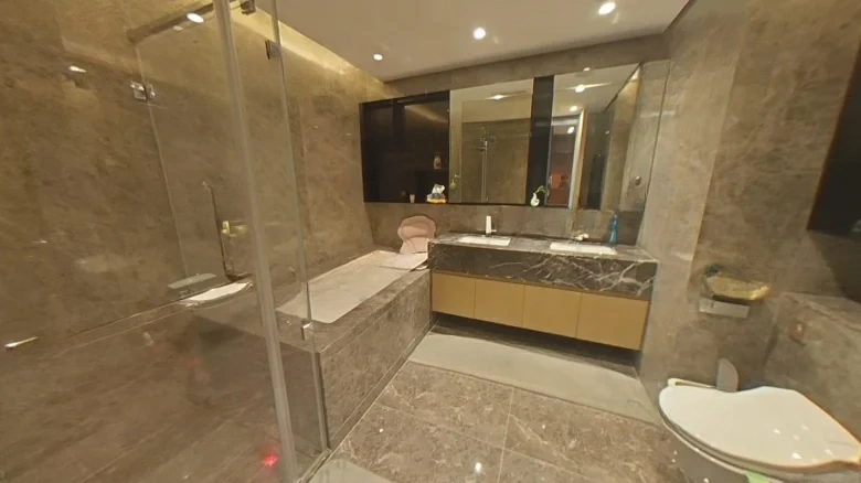 Silver Abundance Jade Seal City Mansion Luna - View 10