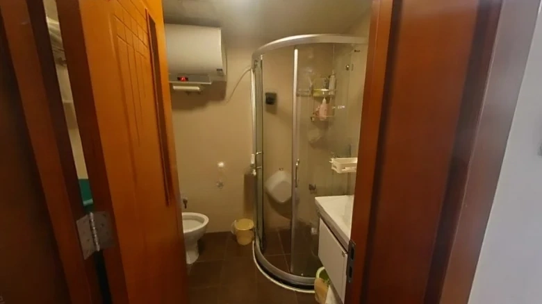 Peach Blossom Spring Landscape - View 5