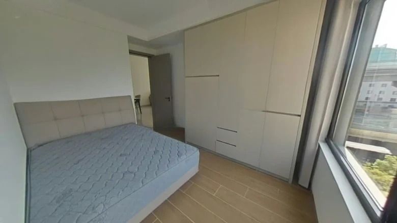 Benevolent New Mansion Residence - View 7