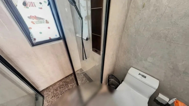 Binjiang Mansion 1913 - View 9