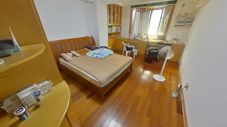 Yanghong New City - View 3