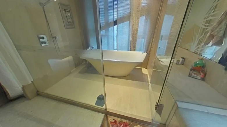 Xieshin Property Mansion - View 5