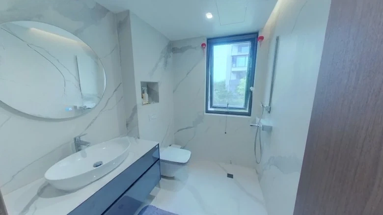 Jinglin Original Manuscript - View 13