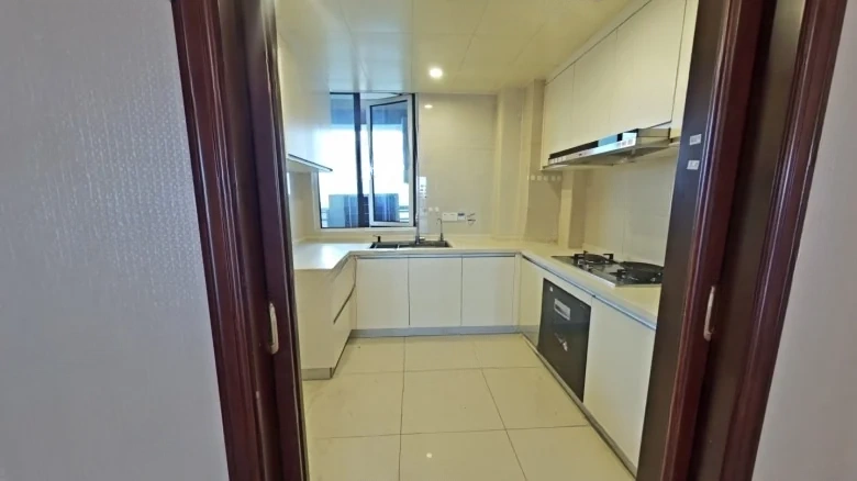 Binhai Platinum Coast - View 9