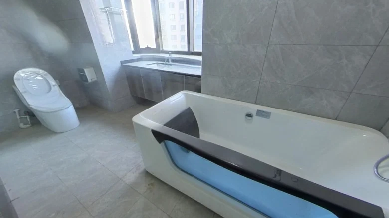 Honghui Prime Seal - View 9