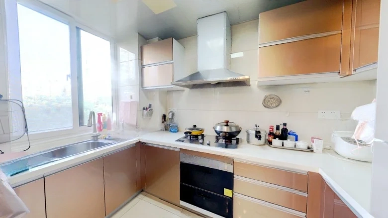 Silver City West Embankment International District III - View 6