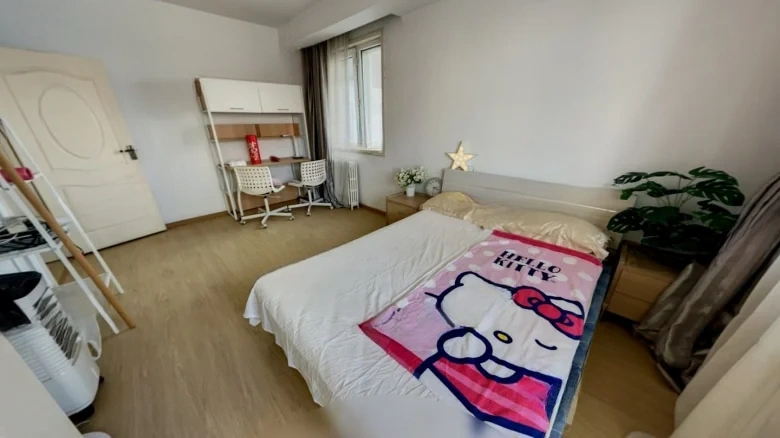 Bali Zhuang Nanli - View 4