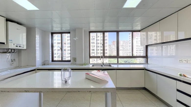 Shimao Junwang Villa - View 7