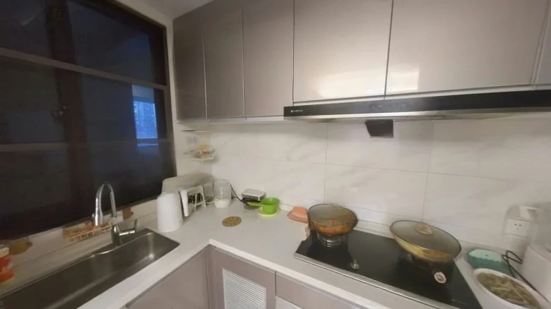 Harmony, Elegance, and Ode - View 6