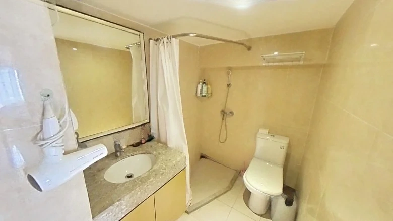 Poly Great Metropolis - View 9