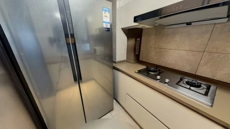 Metropolis Seasons East District - View 6