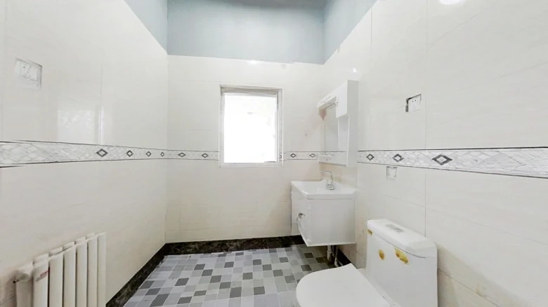 Swan Castle - View 11