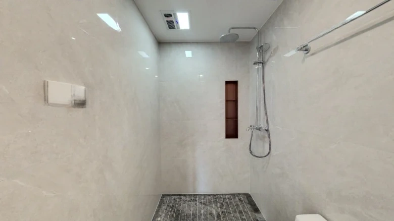 Shoreline Mansion 1913 - View 10