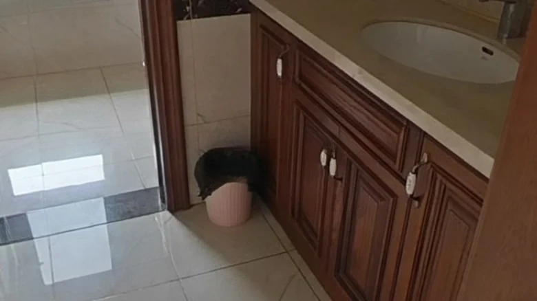 HuaDi ThousandBrilliance Villa - View 16