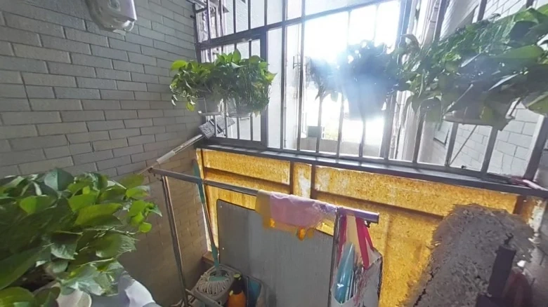 Zhongqiang Elegance Garden - View 11