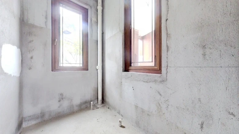 Phoenix Perches on the Parasol Tree - View 9