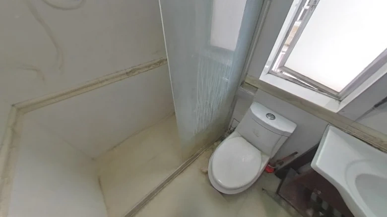 Poly Garden - View 14