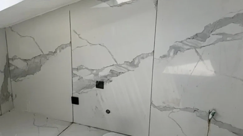 Seal Impression Across the Vast Sky - View 12