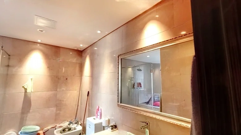 Prosperity Double Joy City - View 18