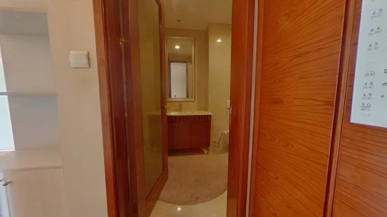 Wangjing Jinmao Mansion - View 15