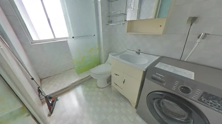 Imperial Bridge Garden - View 5