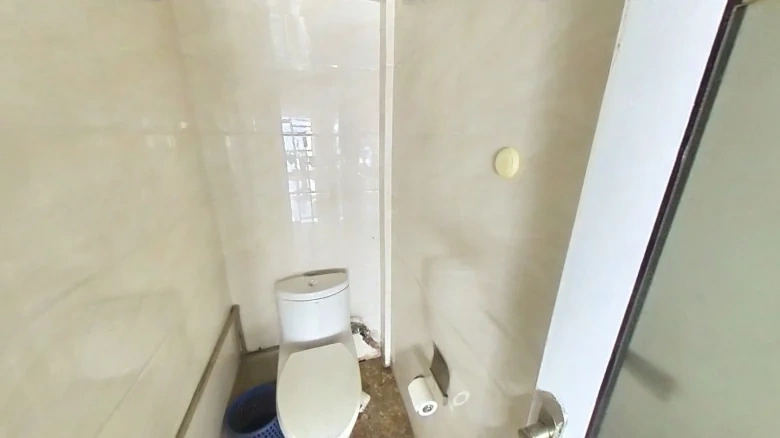 Xin Ye Joy Dome - View 6