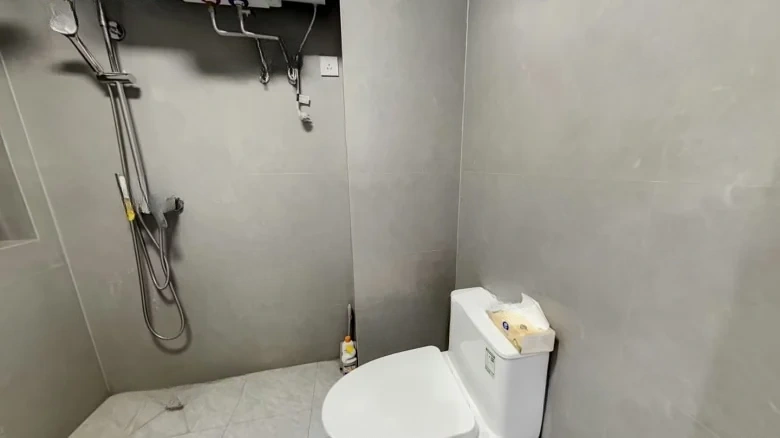 Fudi Lin & Li Jiulin Garden - View 9