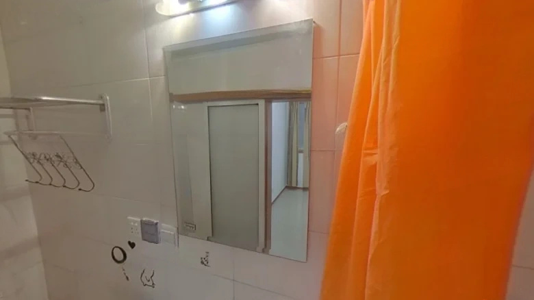 Zhaohua Road 60 Lane - View 12