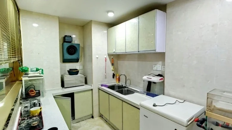 Jade Dragon International II - View 6