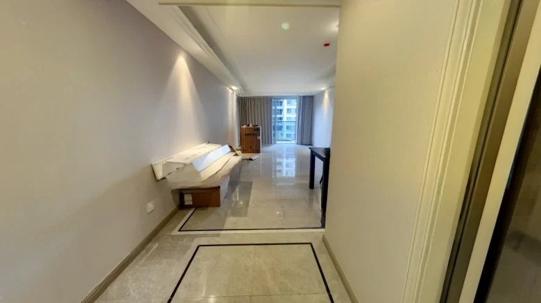 Binhai Wàngtāo Moonlit - View 5