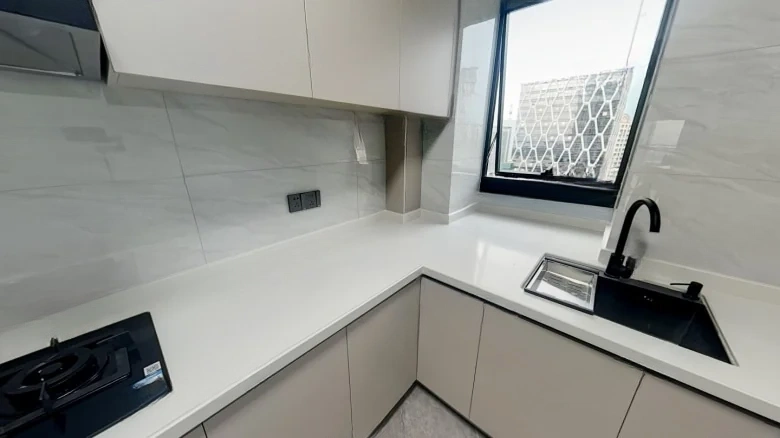 Dingfeng Lujiang 1号 - View 7