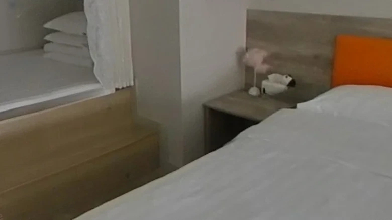 CR Development Wanjing Cloud Seal - View 2