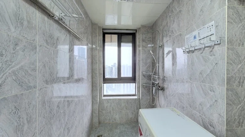 Smoothly Arrived South of the River Elegant Brocade - View 9