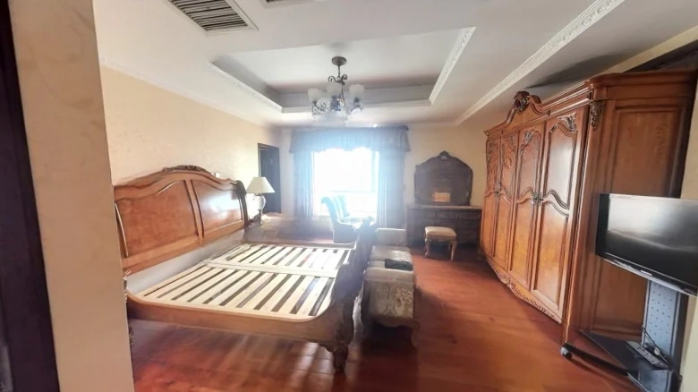 Swan Lake Garden - View 3