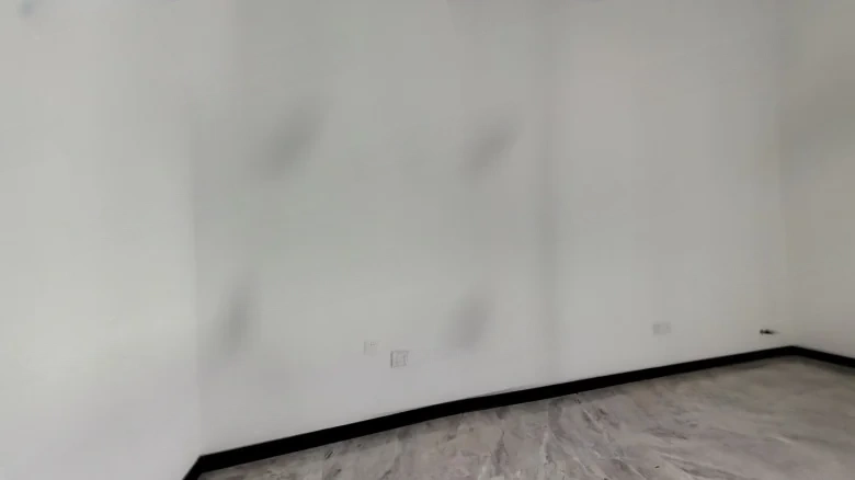 Lan Shi Hubosika - View 3